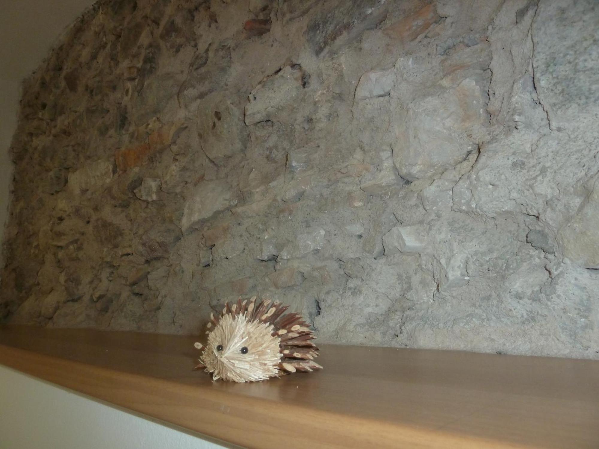Maso Gaitem Appartement Drena Buitenkant foto